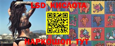 mdpv Аргун